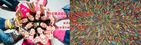 крисы Абдулино