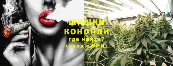 крисы Абдулино