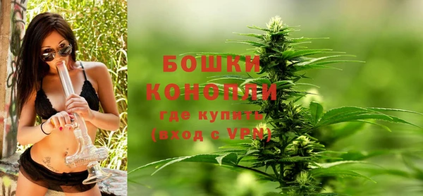 PSILOCYBIN Пересвет
